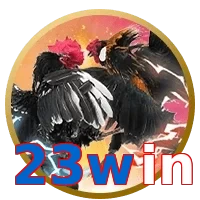 23win